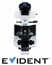 Evident BX53 P поляризационный